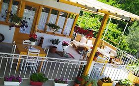 Tearra Guesthouse